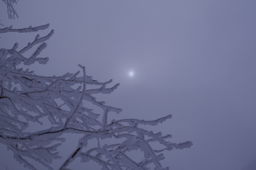 DSCF4074