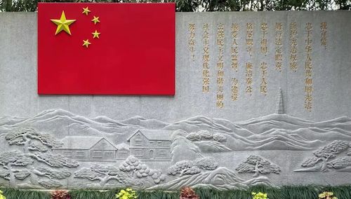 王馨雨